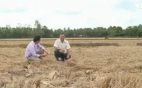 EU tài trợ Việt Nam 90.000 Euro đối phó hạn, mặn