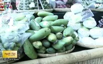 Ngày hội trái cây Việt Nam tại Cộng hòa Czech