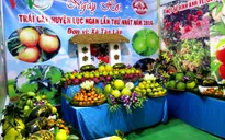 "Ngày hội trái cây Lục Ngạn" thu hút nhiều nhà vườn