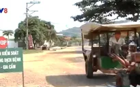 Đắk Lắk lập thêm chốt ngăn chặn dịch lở mồm long móng