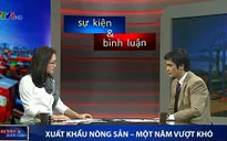 Xuất khẩu nông sản: Giảm nhưng có nên bi quan?