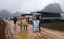 Trâu bò không thả rông, người dân “giữ ý” cho phim trường King Kong 2