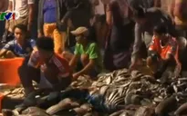 Nhức nhối tình trạng lao động trẻ em tại Myanmar