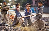 Ngày 12/6 - Ngày thế giới chống lại lao động trẻ em