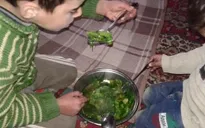 Các nước yêu cầu sơ tán 400 người dân tại Madaya, Syria