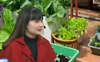 Gặp người phụ nữ thành thị đam mê trồng rau tại nhà
