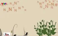 Vì sao nên sử dụng phân bón hữu cơ vi sinh thay cho phân hóa học?
