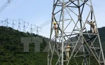Kiểm định móng cột điện bị tố đổ bê tông trộn đất: Nhiều mẫu không đạt yêu cầu