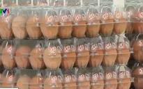 Hàn Quốc: Thiếu trứng trầm trọng do dịch cúm gia cầm