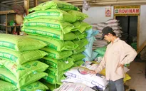 Nhập khẩu thức ăn chăn nuôi tăng mạnh