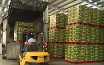 Sabeco bị đề nghị truy thu gần 2.500 tỷ đồng tiền thuế