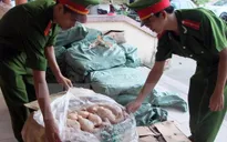 Phát hiện 450kg thịt gà đông lạnh không rõ nguồn gốc tại Quảng Trị