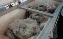 Long An tiêu hủy hơn 1 tấn thịt bẩn