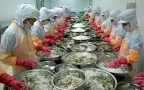 Xuất khẩu tôm có thể đạt trên 3 tỷ USD