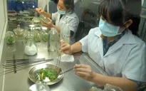 Indonesia công nhận 10 phòng kiểm nghiệm thực phẩm của Việt Nam