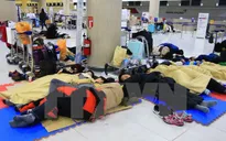Hàn Quốc: Bão tuyết khiến 86.000 người bị mắc kẹt trên đảo Jeju
