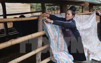 Nhiệt độ về đêm giảm sâu, Bắc Bộ vẫn có nơi rét dưới 8 độ C