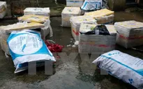 Phát hiện 600kg lợn sữa biến màu, bốc mùi sắp tuồn ra thị trường