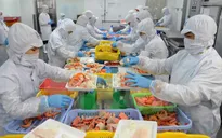 Làm rõ vụ DN không xuất khẩu cá điêu hồng sang Australia vẫn bị cảnh báo