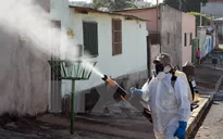 Virus Zika có thể làm Mỹ Latin thiệt hại khoảng 4 tỷ USD