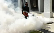 Singapore thông báo đã dập tắt được ổ dịch Zika lớn nhất