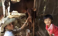 Cuộc cách mạng nông nghiệp hữu cơ Việt Nam lên báo Nhật