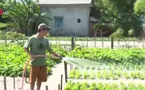 Nước ngầm ven biển ngày càng suy giảm