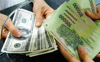 Ngân hàng dư thừa ngoại tệ, tỷ giá có thể hạ nhiệt