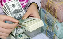 Tỷ giá trung tâm tăng 12 đồng