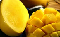 Lạ, độc: Trồng xoài... qua mạng
