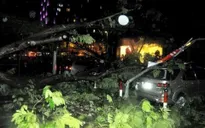 TP.HCM: Mưa lớn gây ngập đường, cây xanh ngã đổ đè phương tiện