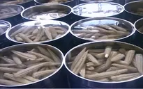 Tiêu hủy hơn 1000 kg đậu Hà Lan có chất bảo quản vượt ngưỡng