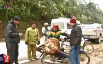 Rét lịch sử, người dân mang trâu bò chết ra bày bán la liệt