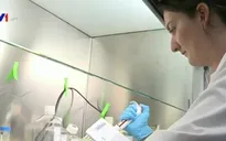 Anh cho phép tạo phôi thai người biến đổi gen