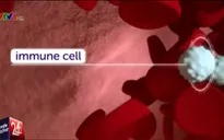 Phát hiện cách thức mới loại bỏ khối u gây ung thư
