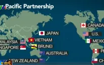 Nội các Nhật Bản thông qua các dự luật về TPP