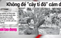 Phải lòng “cây tỷ đô”, hàng loạt nông dân "ôm hận"