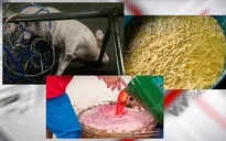 Bộ NN&PTNT "ra tay", hết đường cho thực phẩm bẩn?