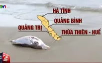 Mưa đá, giông lốc, cá chết: Bình thường hay bất thường?