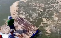 Cá tra, dệt may và da giày đồng loạt "báo" tin vui