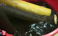Người dân chung cư giữa Hà Nội sống chung với nước nhiễm độc
