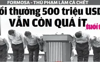 Cá chết ở miền Trung: Formosa bồi thường 500 triệu USD vẫn còn quá ít?