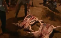 "Đường đi" của những miếng thịt từ lò giết mổ