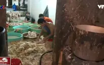 "Thịt bán ở ngoài hay đưa vào siêu thị cũng đều như nhau hết"