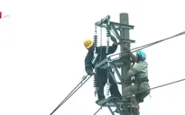 Ngành điện lực căng mình khắc phục thiệt hại sau bão số 1