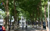 Xét tuyển ĐH-CĐ 2016: Đạp xe 30km đi nộp hồ sơ cho... yên tâm