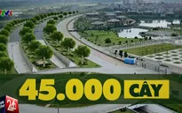 Hà Nội: Sẽ trồng 45.000 cây bóng mát trên Đại lộ Thăng Long