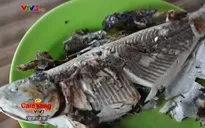 Đến Philippines thưởng thức món cá sữa nướng thơm ngon khó cưỡng
