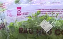 Thực phẩm hữu cơ chưa được chứng nhận ở Việt Nam