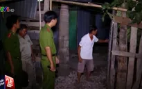 Táo tợn mang xe tải đi... trộm bò tại Vĩnh Long
